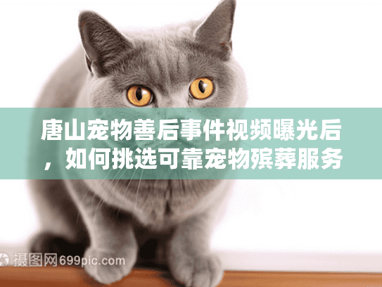 唐山宠物善后事件视频曝光后，如何挑选可靠宠物殡葬服务避免陷阱？