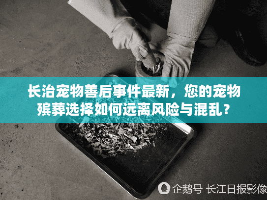 长治宠物善后事件最新，您的宠物殡葬选择如何远离风险与混乱？