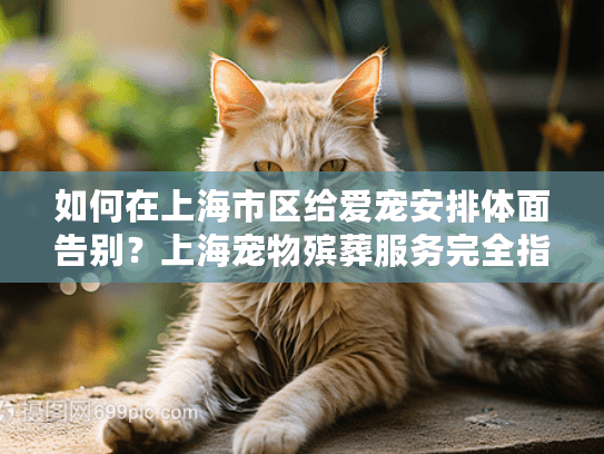 如何在上海市区给爱宠安排体面告别？上海宠物殡葬服务完全指南