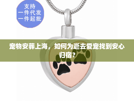 宠物安葬上海，如何为逝去爱宠找到安心归宿？