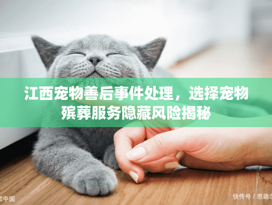 江西宠物善后事件处理，选择宠物殡葬服务隐藏风险揭秘