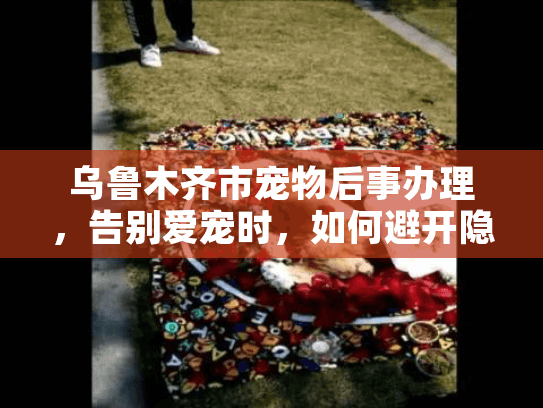 乌鲁木齐市宠物后事办理，告别爱宠时，如何避开隐藏费用和劣质服务？