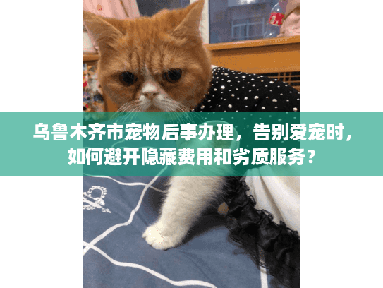 乌鲁木齐市宠物后事办理，告别爱宠时，如何避开隐藏费用和劣质服务？