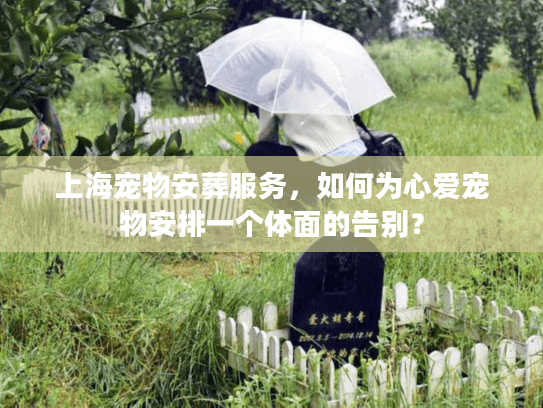上海宠物安葬服务，如何为心爱宠物安排一个体面的告别？