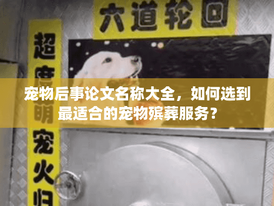 宠物后事论文名称大全，如何选到最适合的宠物殡葬服务？