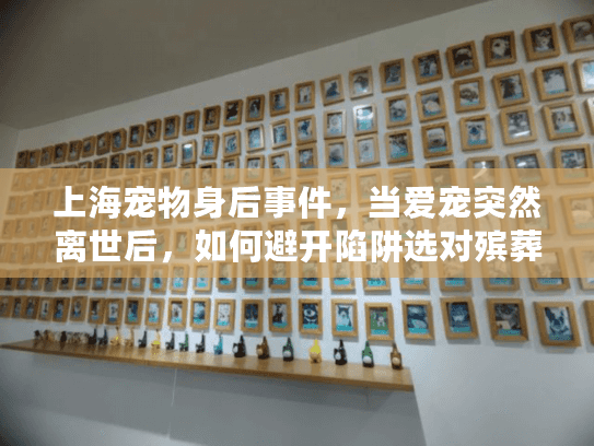 上海宠物身后事件，当爱宠突然离世后，如何避开陷阱选对殡葬服务？