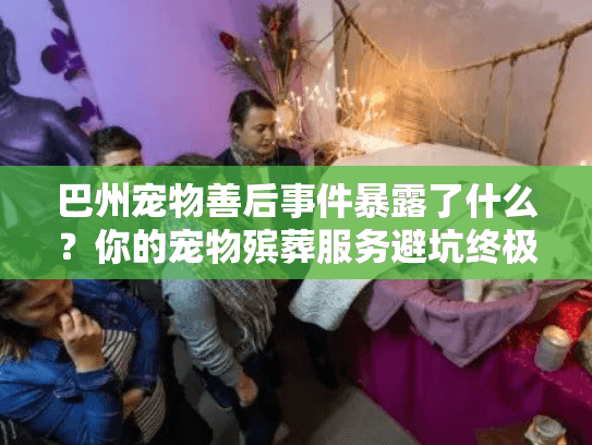 巴州宠物善后事件暴露了什么？你的宠物殡葬服务避坑终极策略