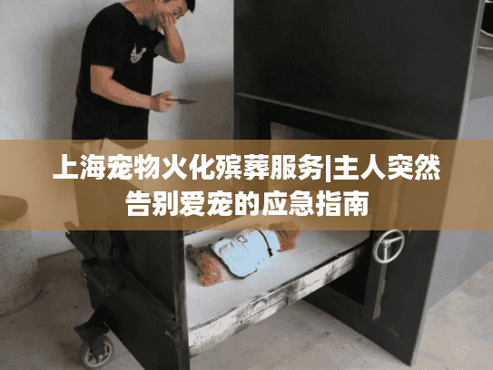 上海宠物火化殡葬服务|主人突然告别爱宠的应急指南