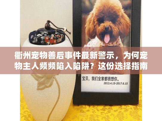 衢州宠物善后事件最新警示，为何宠物主人频频陷入陷阱？这份选择指南帮你避坑