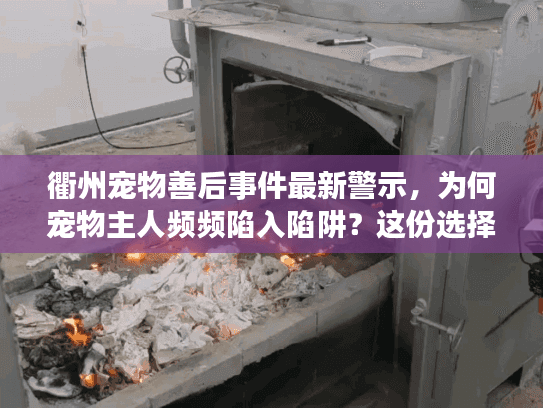 衢州宠物善后事件最新警示，为何宠物主人频频陷入陷阱？这份选择指南帮你避坑