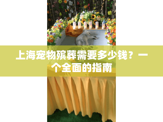 上海宠物殡葬需要多少钱？一个全面的指南
