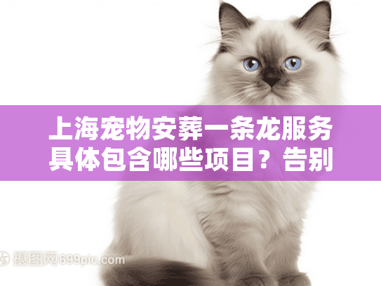 上海宠物安葬一条龙服务具体包含哪些项目？告别爱宠不再手忙脚乱