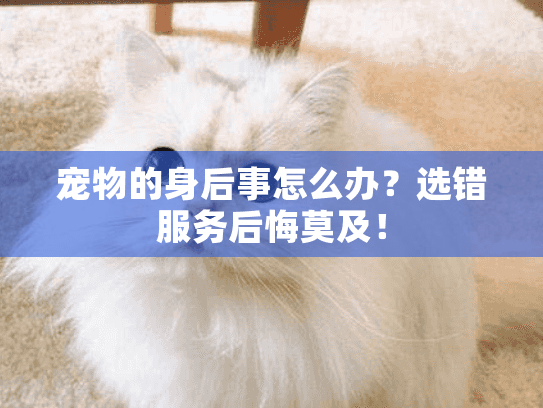 宠物的身后事怎么办？选错服务后悔莫及！