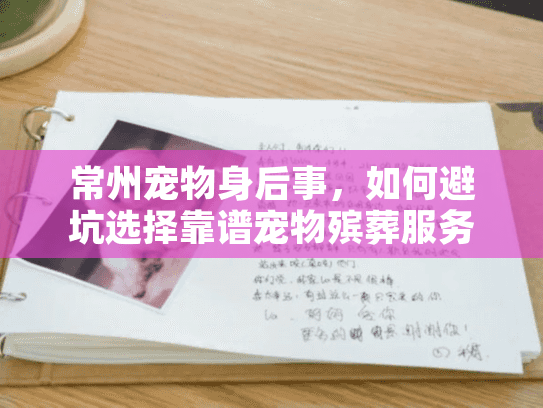 常州宠物身后事，如何避坑选择靠谱宠物殡葬服务？