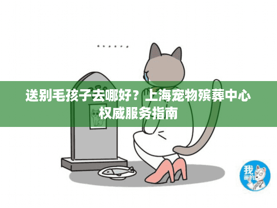 送别毛孩子去哪好？上海宠物殡葬中心权威服务指南