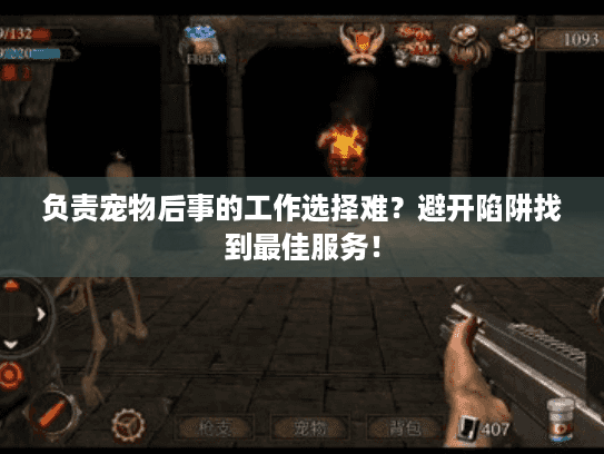 负责宠物后事的工作选择难？避开陷阱找到最佳服务！