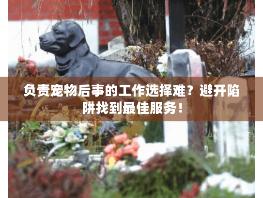 负责宠物后事的工作选择难？避开陷阱找到最佳服务！