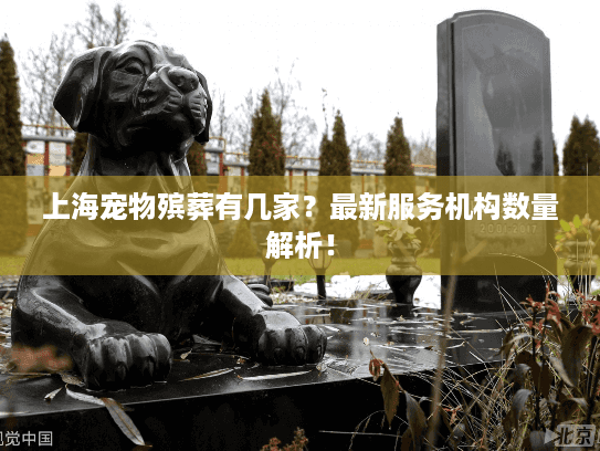 上海宠物殡葬有几家？最新服务机构数量解析！