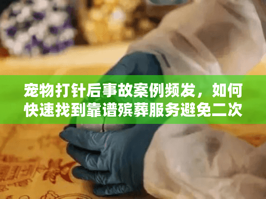 宠物打针后事故案例频发，如何快速找到靠谱殡葬服务避免二次伤害？