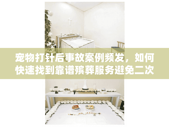 宠物打针后事故案例频发，如何快速找到靠谱殡葬服务避免二次伤害？