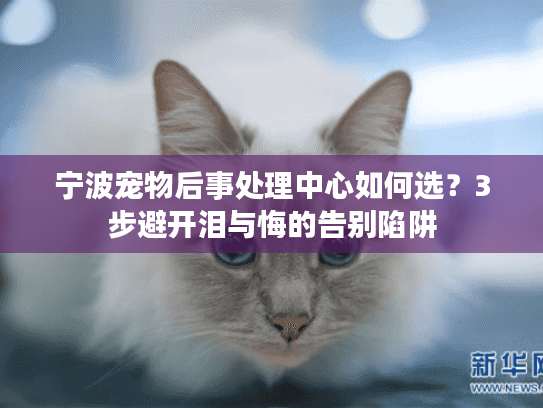 宁波宠物后事处理中心如何选？3步避开泪与悔的告别陷阱