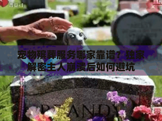 宠物殡葬服务哪家靠谱？独家解密主人崩溃后如何避坑