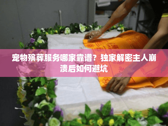 宠物殡葬服务哪家靠谱？独家解密主人崩溃后如何避坑