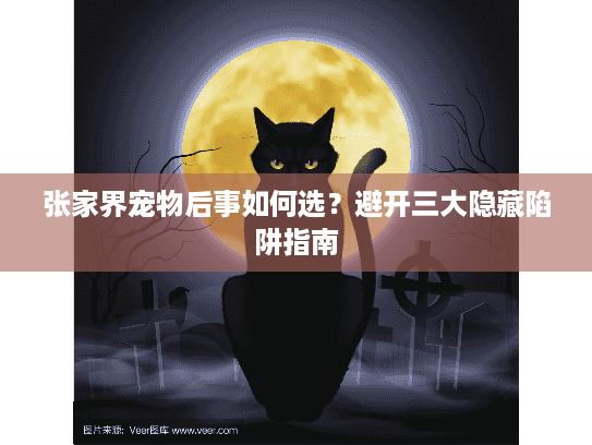 张家界宠物后事如何选？避开三大隐藏陷阱指南
