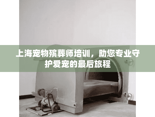 上海宠物殡葬师培训，助您专业守护爱宠的最后旅程