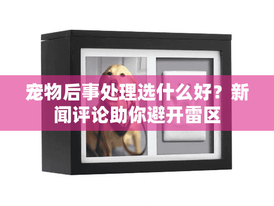 宠物后事处理选什么好？新闻评论助你避开雷区