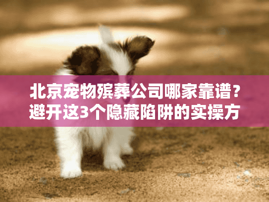 北京宠物殡葬公司哪家靠谱？避开这3个隐藏陷阱的实操方案