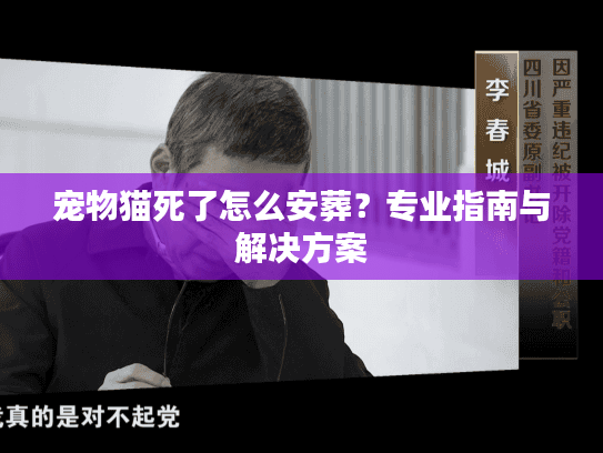 宠物猫死了怎么安葬？专业指南与解决方案