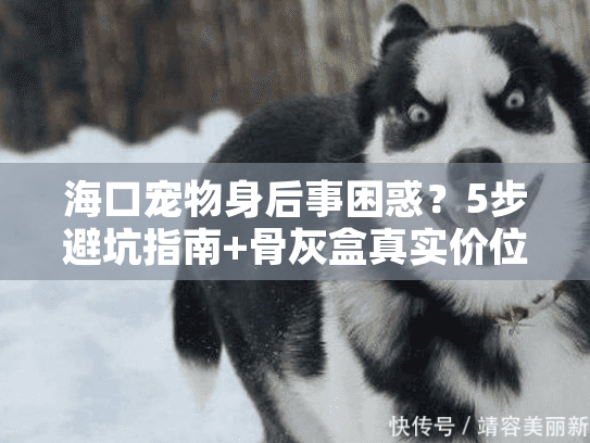 海口宠物身后事困惑？5步避坑指南+骨灰盒真实价位