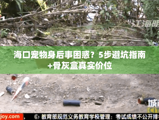 海口宠物身后事困惑？5步避坑指南+骨灰盒真实价位