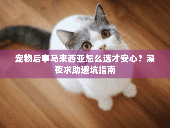 宠物后事马来西亚怎么选才安心？深夜求助避坑指南