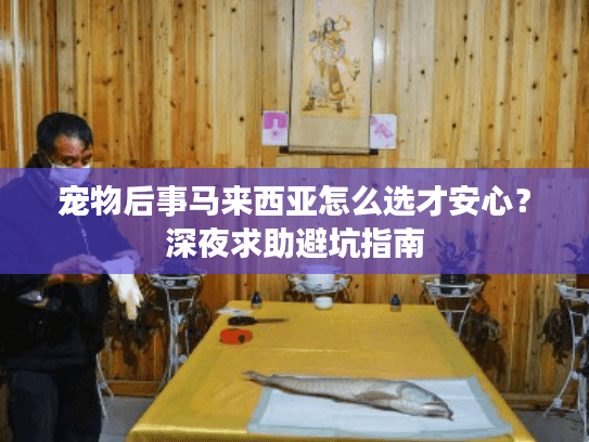 宠物后事马来西亚怎么选才安心？深夜求助避坑指南