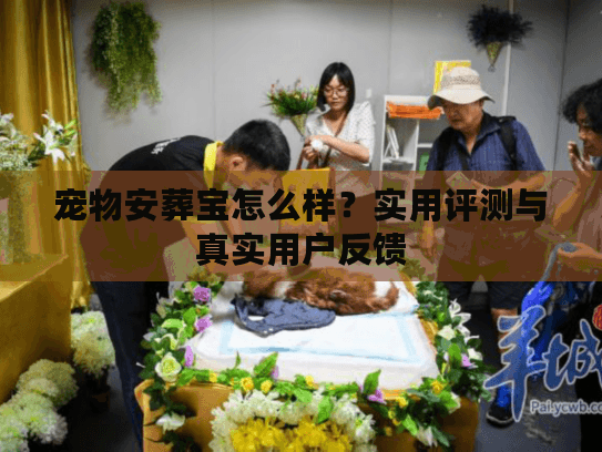 宠物安葬宝怎么样？实用评测与真实用户反馈