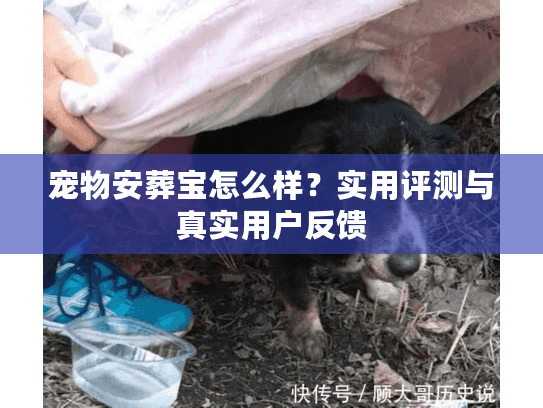 宠物安葬宝怎么样？实用评测与真实用户反馈