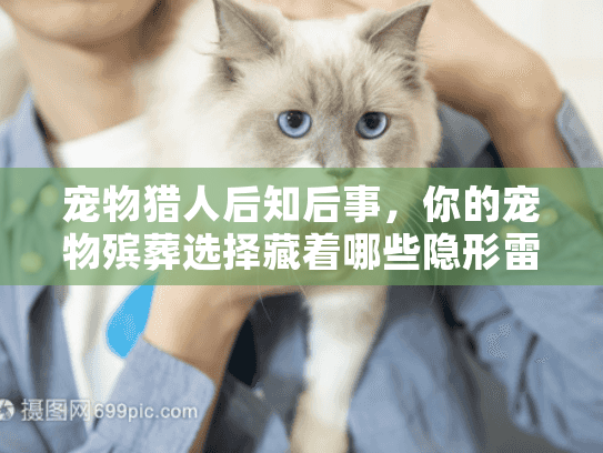 宠物猎人后知后事，你的宠物殡葬选择藏着哪些隐形雷区？