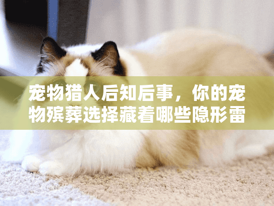 宠物猎人后知后事，你的宠物殡葬选择藏着哪些隐形雷区？