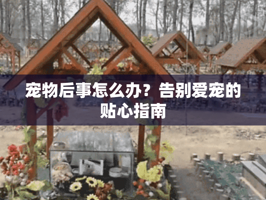 宠物后事怎么办？告别爱宠的贴心指南
