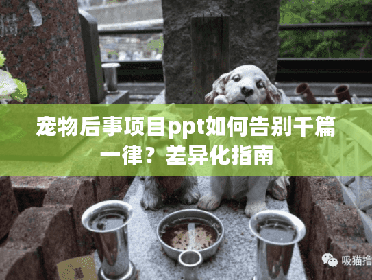 宠物后事项目ppt如何告别千篇一律?差异化指南 宠物后事项目ppt如何告别千篇一律?差异化指南