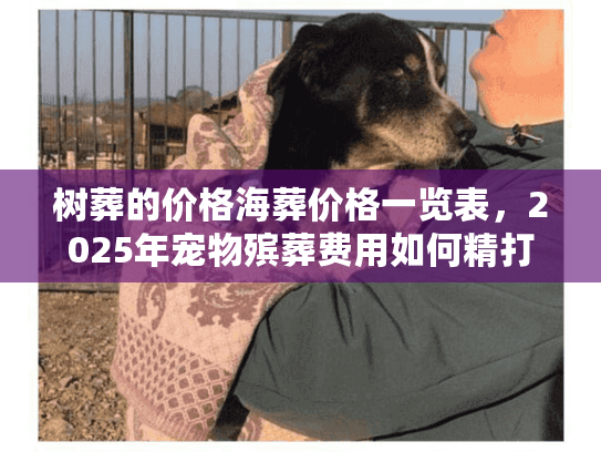 树葬的价格海葬价格一览表，2025年宠物殡葬费用如何精打细算？