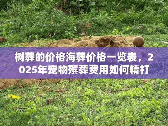 树葬的价格海葬价格一览表，2025年宠物殡葬费用如何精打细算？