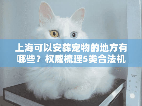 上海可以安葬宠物的地方有哪些？权威梳理5类合法机构对比