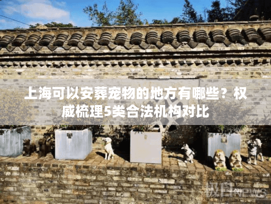 上海可以安葬宠物的地方有哪些？权威梳理5类合法机构对比