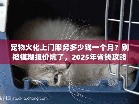 宠物火化上门服务多少钱一个月？别被模糊报价坑了，2025年省钱攻略大公开