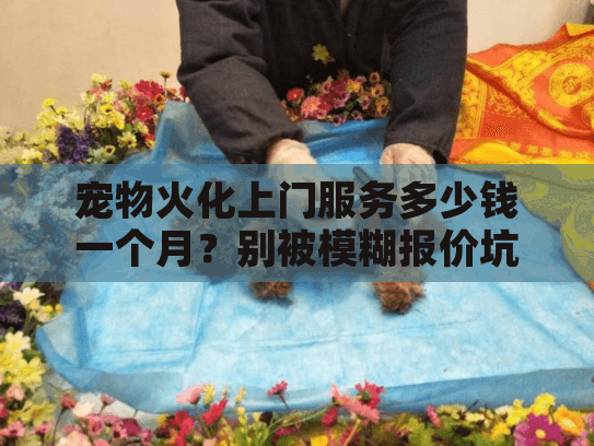 宠物火化上门服务多少钱一个月？别被模糊报价坑了，2025年省钱攻略大公开