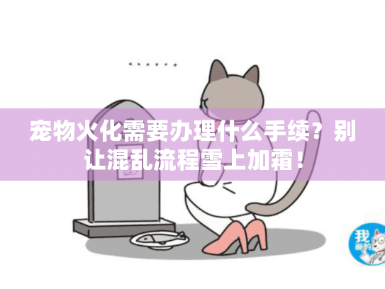 宠物火化需要办理什么手续？别让混乱流程雪上加霜！