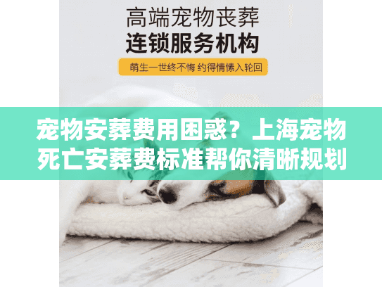 宠物安葬费用困惑？上海宠物死亡安葬费标准帮你清晰规划